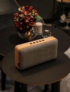 SACKit Hemelektronik|Move Wood - Högtalare