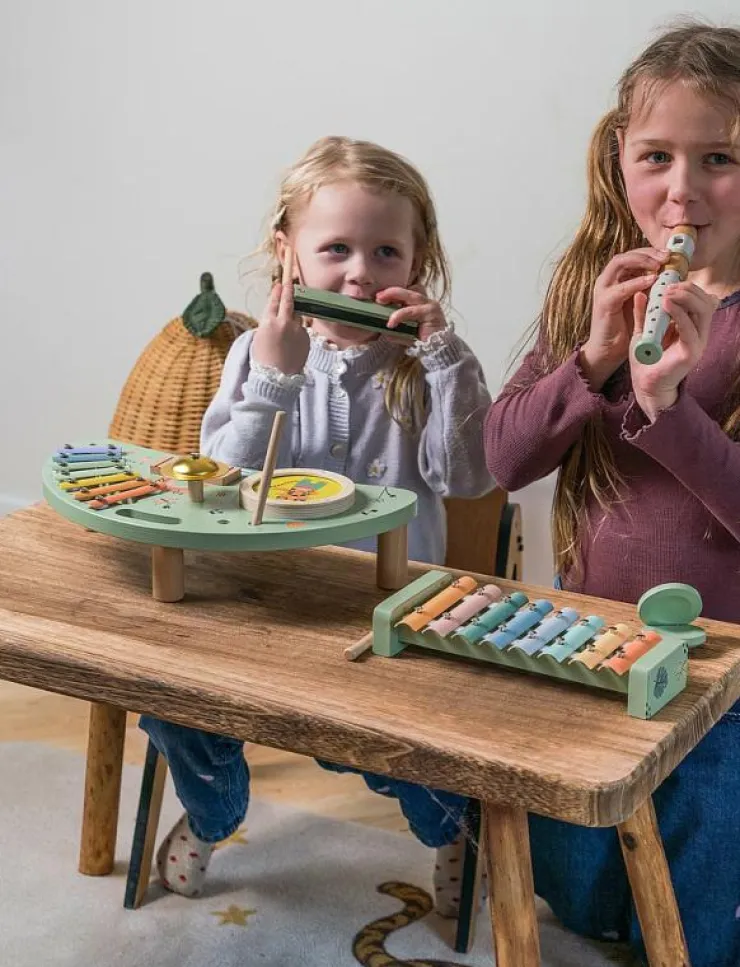 Dantoy MULTI MUSIC SET WOODEN IN GIFT BOX 5 PARTS - Musikinstrument|Barn Musikinstrument