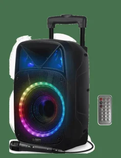 Barn Music Musikinstrument|Karoke Party Speaker - Musikinstrument