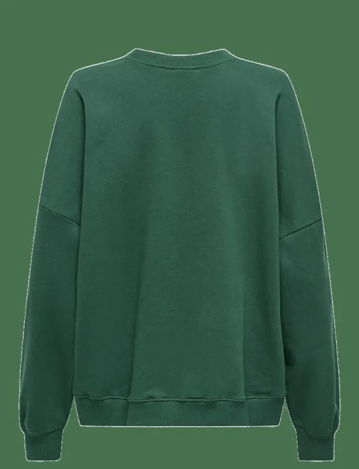 ONLY ONLBILA L/S BEAR O-NECK SWT - Sweatshirts|Kvinnor Sweatshirts