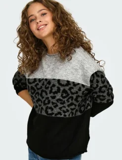ONLY ONLJADE ANIMAL LS O-NECK NOOS KNT - Stickat|Kvinnor Kläder
