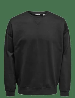 ONLY & SONS Sweatshirts & Huvtröjor|ONSEVANS VTG LS CREW TONAL BLOCK - Sweatshirts