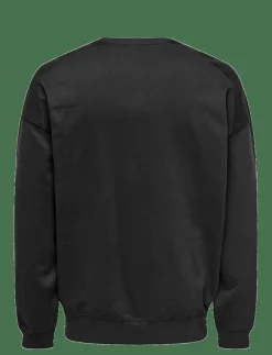ONLY & SONS Sweatshirts & Huvtröjor|ONSEVANS VTG LS CREW TONAL BLOCK - Sweatshirts