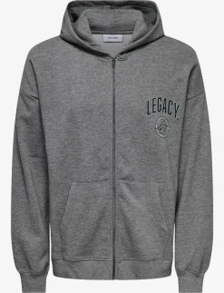 ONLY & SONS Sweatshirts & Huvtröjor|ONSLEGACY SWEAT ZIP VTG HOODIE - Hoodies