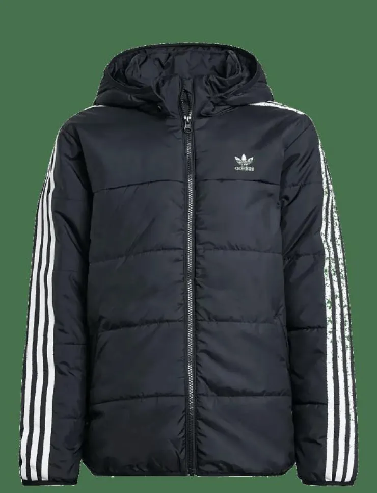 Barn adidas Originals Ytterkläder|PADDED JACKET - Dunjackor & fodrade jackor