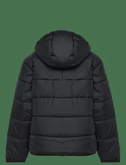 Barn adidas Originals Ytterkläder|PADDED JACKET - Dunjackor & fodrade jackor