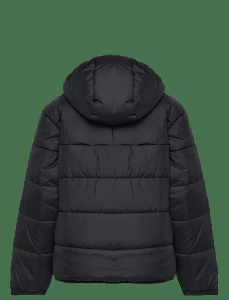 Barn adidas Originals Ytterkläder|PADDED JACKET - Dunjackor & fodrade jackor