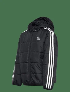 Barn adidas Originals Ytterkläder|PADDED JACKET - Dunjackor & fodrade jackor