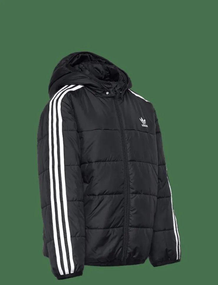Barn adidas Originals Ytterkläder|PADDED JACKET - Dunjackor & fodrade jackor
