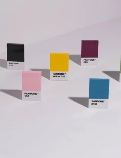 PANTONE CREDITCARD HOLDER IN MATTE AND GIFTBOX - Korthållare|Kvinnor Plånböcker & Korthållare