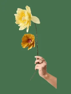 Studio About PAPER FLOWER - Torkade blommor| Torkade Blommor