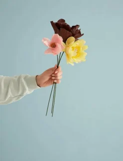 Studio About Torkade Blommor|PAPER FLOWER - Torkade blommor