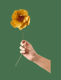 Studio About Torkade Blommor|PAPER FLOWER - Torkade blommor