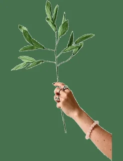 Studio About PAPER FLOWER, BRANCH WITH DETAILED LEAFS, - Torkade blommor| Torkade Blommor