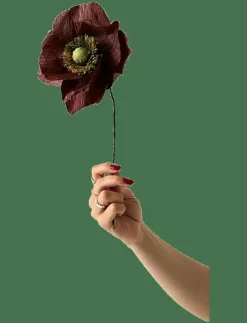 Studio About PAPER FLOWER, PAPAVER, - Torkade blommor| Torkade Blommor