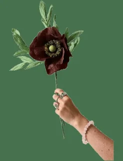 Studio About PAPER FLOWER, PAPAVER, - Torkade blommor| Torkade Blommor