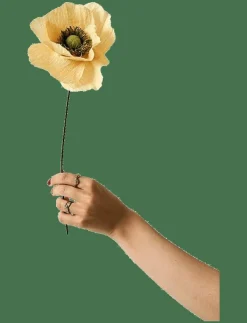 Studio About Torkade Blommor|PAPER FLOWER, PAPAVER, - Torkade blommor