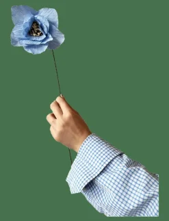 Studio About Torkade Blommor|PAPER FLOWER, POPPY, - Torkade blommor