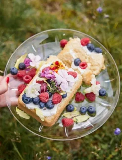 Sagaform Picknick Juni tallrik - Picknicktillbehör| Picknicktillbehör