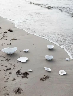 Byon Tallrikar|Plate Shell S - Dekoration