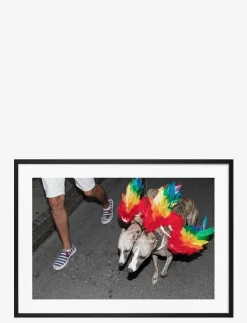 Democratic Gallery Poster Rainbow Dogs - Fotokonst| Posters & Ramar