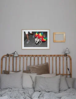 Democratic Gallery Poster Rainbow Dogs - Fotokonst| Posters & Ramar