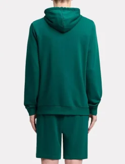 Reebok Performance REEBOK IDENTITY SMALL LOGO FT HOODI - Huvtröjor| Sweatshirts
