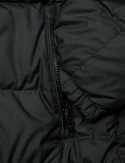 Barn Ralph Lauren Kids Jackor|Ripstop Down Hooded Jacket - Dunjackor & fodrade jackor