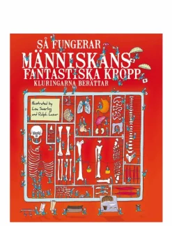 Barn GLOBE Barnböcker|Så fungerar människans fantastiska kropp - Pedagogisk barnbok