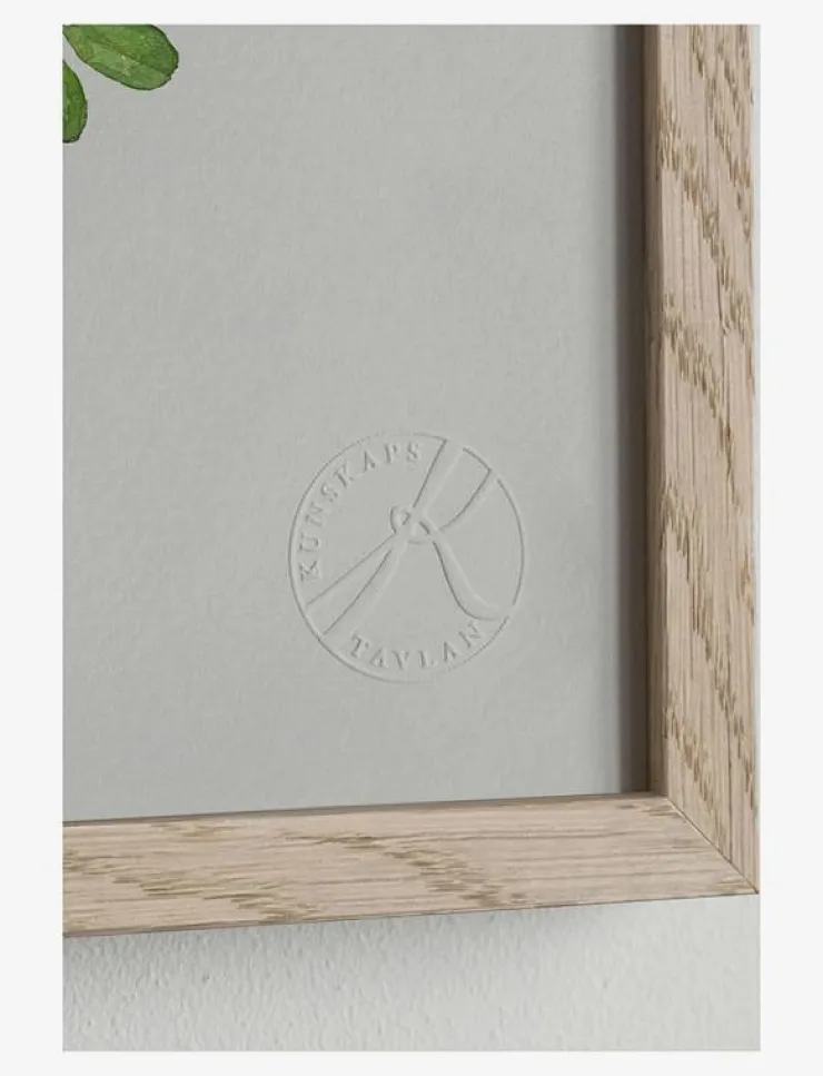 Kunskapstavlan® Posters & Ramar|Sju sorters blommor - Botanisk