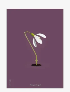 Brainchild Posters & Ramar|Snowdrop purple - Botanisk