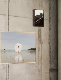 Paper Collective Posters & Ramar|Social Distance - 50x70 cm - Fotokonst