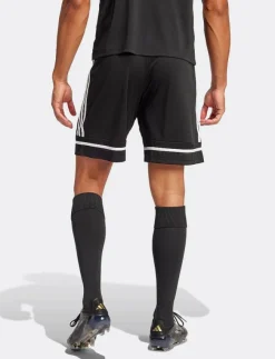 adidas Performance SQUA25 SHO M - Sportshorts| Shorts
