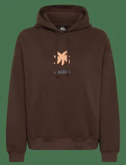 Kvinnor Quiksilver Sport|Sweatshirts|STANDARD HOODIE - Huvtröjor