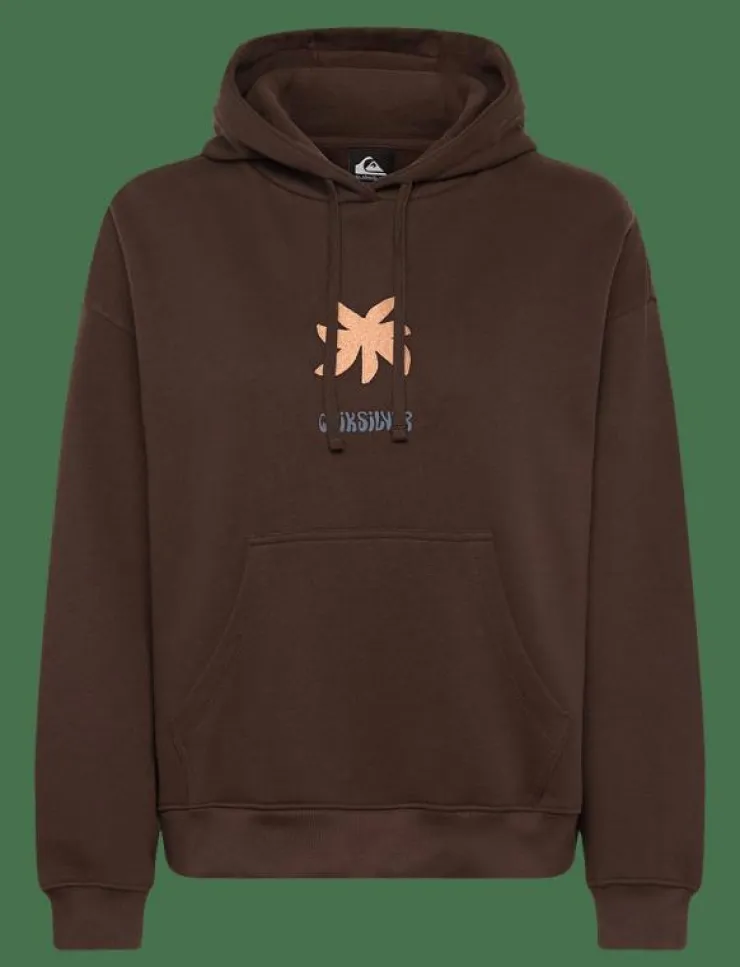 Kvinnor Quiksilver Sport|Sweatshirts|STANDARD HOODIE - Huvtröjor