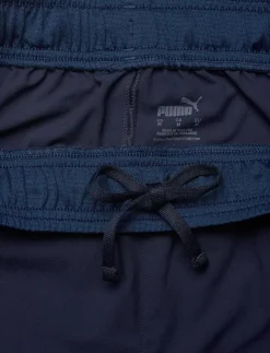 PUMA Shorts|teamFINAL Shorts - Träningsshorts