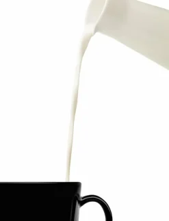 Iittala Kannor & Karaffer|Teema karaff 20 cl med trälock vit - Mjölkkannor