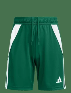 adidas Performance TIRO24 SHO Y - Sportshorts|Barn Sportkläder