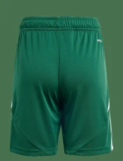 adidas Performance TIRO24 SHO Y - Sportshorts|Barn Sportkläder