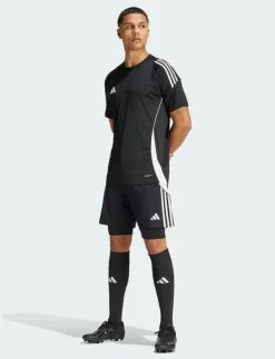 adidas Performance Shorts|TIRO24 TRSH2IN1 - Träningsshorts