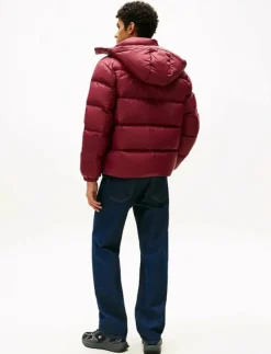 Tommy Jeans Jackor & Rockar|TJM ESSENTIAL DOWN JACKET EXT - Fodrade jackor