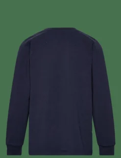 Barn The New Överdelar|TNDAVIS L_S TEE - Sweatshirts
