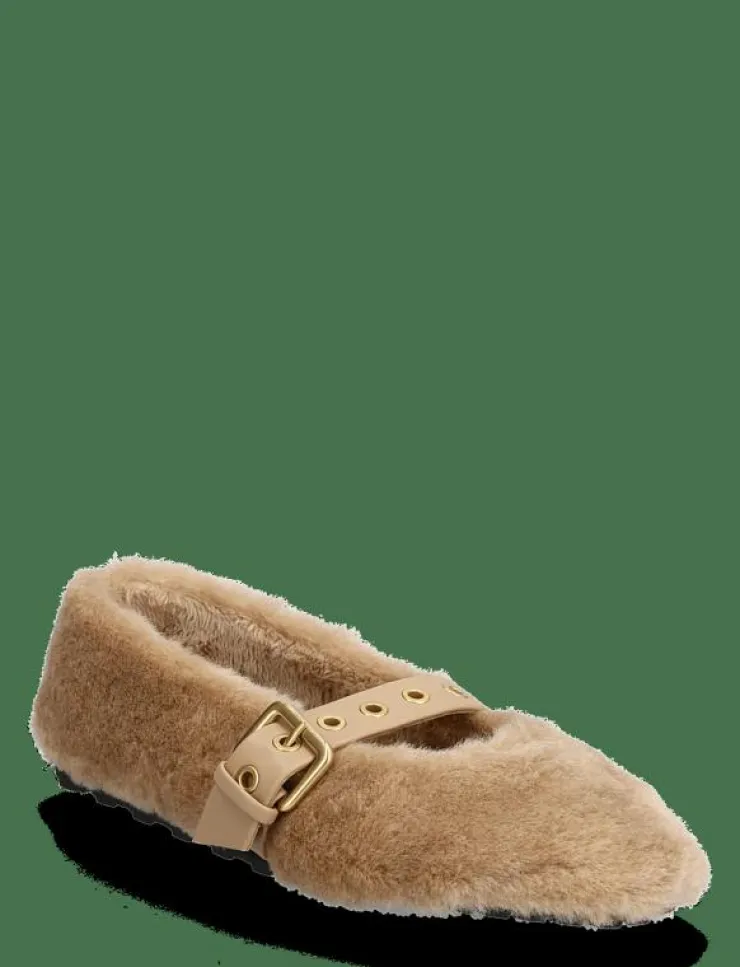 Steve Madden TOASTY - Inneskor|Kvinnor Tofflor|Ballerinaskor