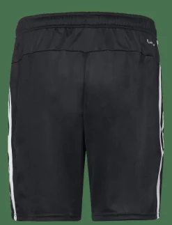adidas Performance Shorts|TR-ES PIQ 3SHO - Träningsshorts