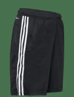 adidas Performance Shorts|TR-ES PIQ 3SHO - Träningsshorts