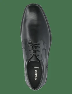 GEOX U BRANDOLF B - Snörskor| Finskor