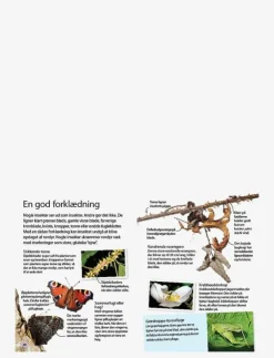 Barn GLOBE Barnböcker|Ud i naturen Insekter & edderkopper - Pedagogisk barnbok