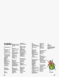 Barn GLOBE Barnböcker|Ud i naturen Insekter & edderkopper - Pedagogisk barnbok