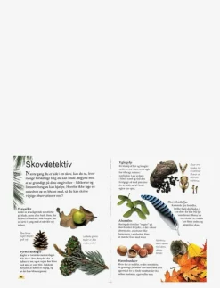 Barn GLOBE Barnböcker|Ud i naturen Skoven - Pedagogisk barnbok