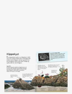 Barn GLOBE Barnböcker|Ud i naturen Stranden - Pedagogisk barnbok